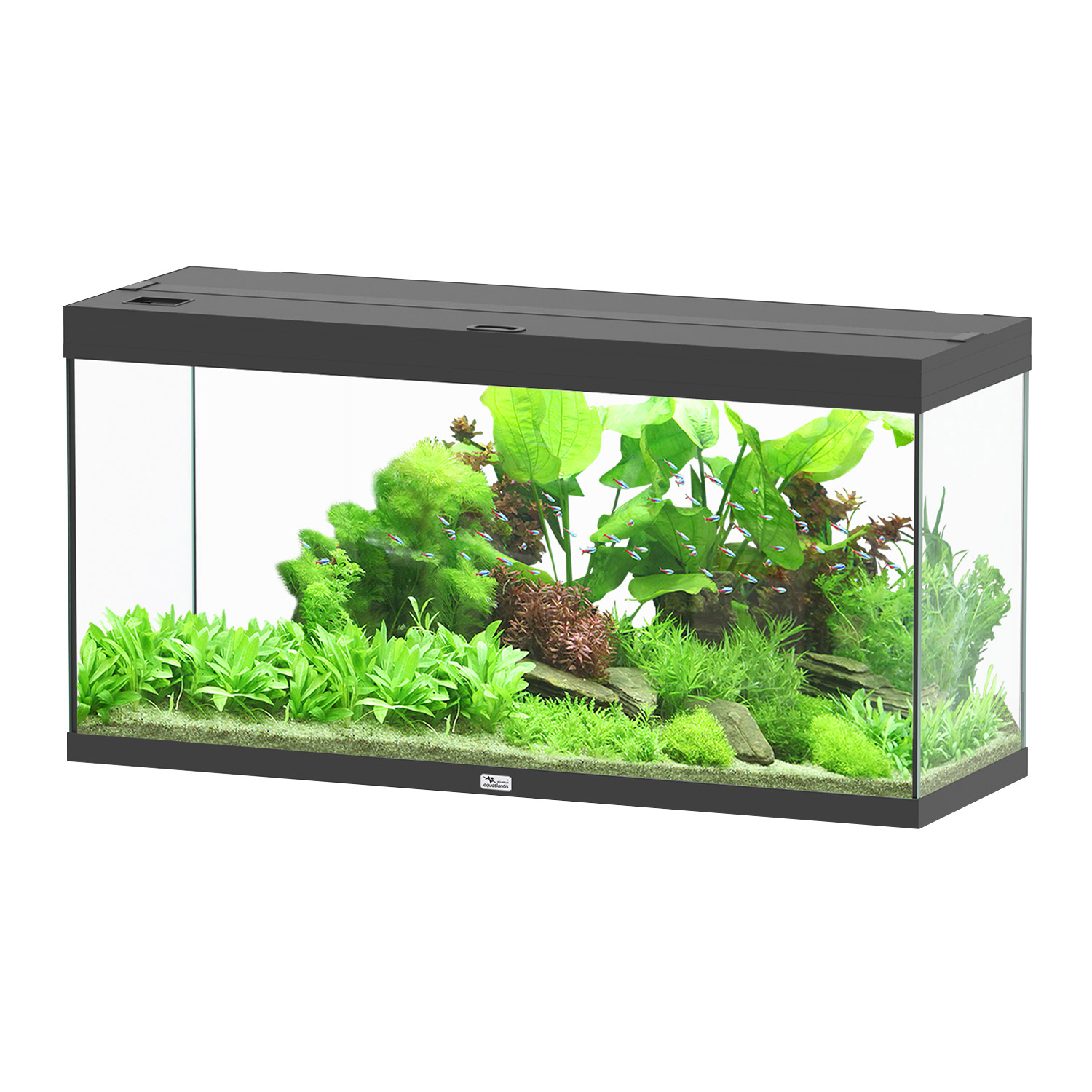 Aquatlantis Splendid Ultra 120 Tank 63GAL 47x16x24h - Black
