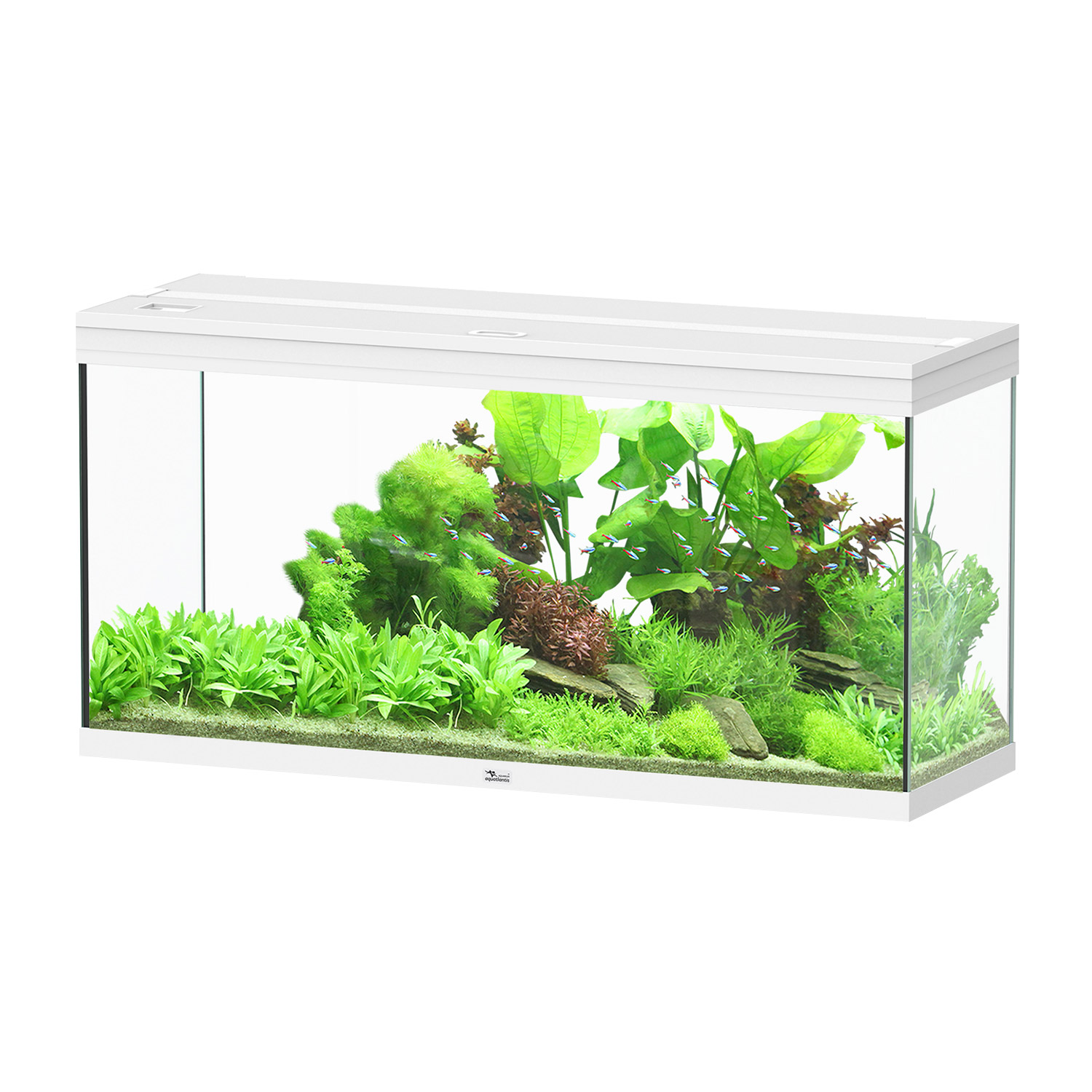 Aquatlantis Splendid Ultra 120 Tank 63GAL 47x16x24h - White