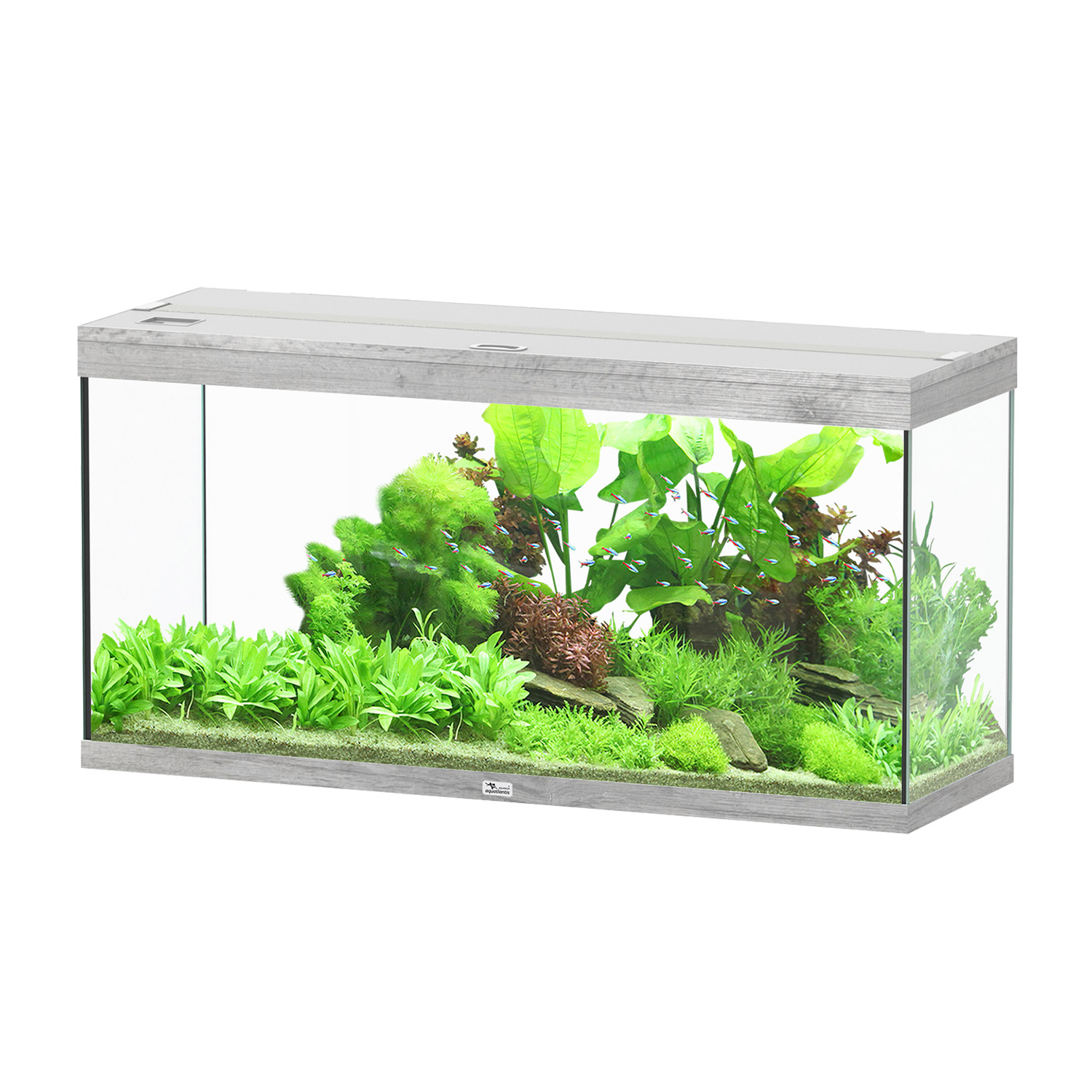 Aquatlantis Splendid Ultra 120 Tank 63GAL 47x16x24h - Grey