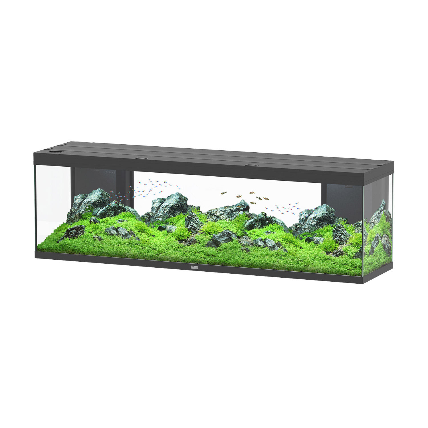 Aquatlantis Splendid Ultra 200 Tank 132GAL 78x20x24 - Black