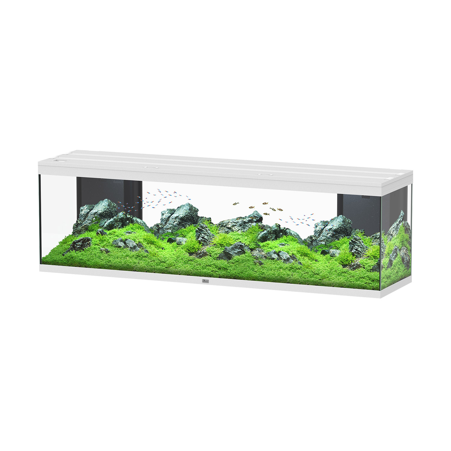 Aquatlantis Splendid Ultra 200 Tank 132GAL 78x20x24 - White