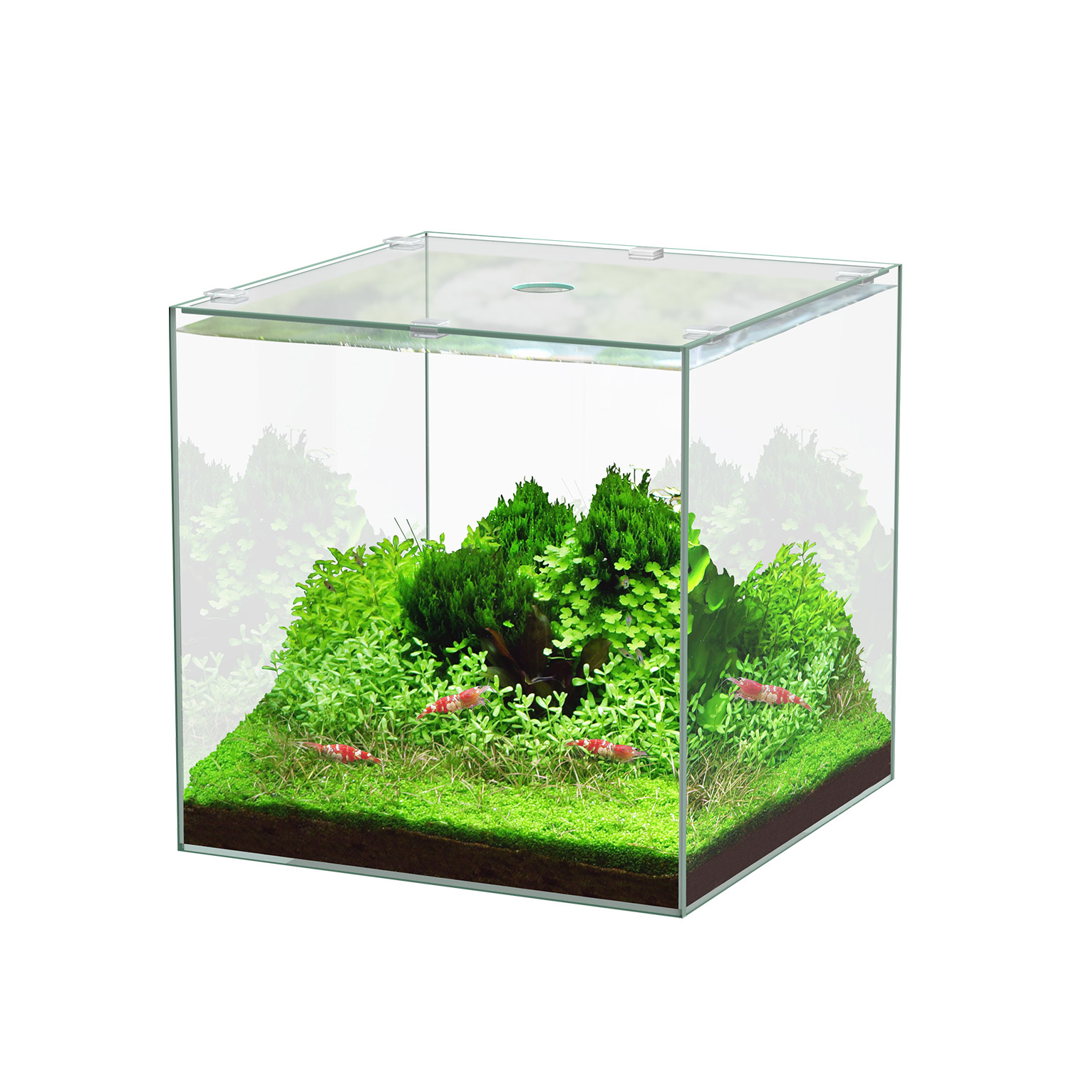Aquatlantis Kubus Tank 29x30x35h - 22L
