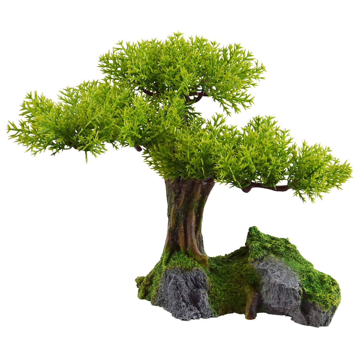Underwater Treasures Young Bonsai Tree