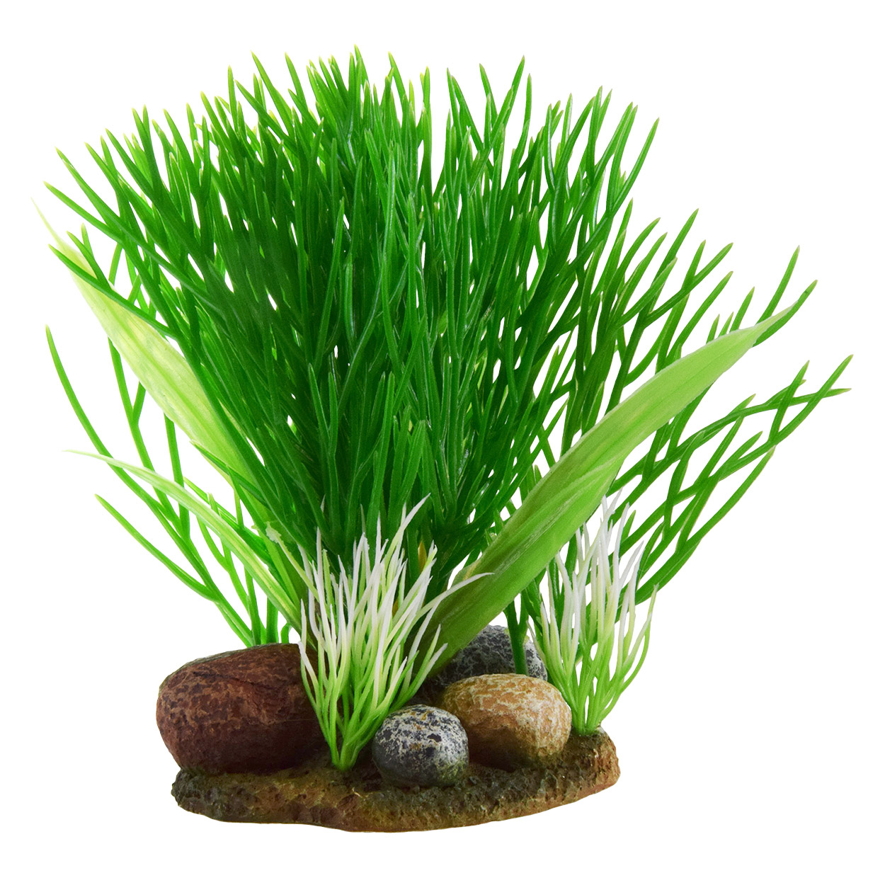 Underwater Treasures Green Bush On Rock