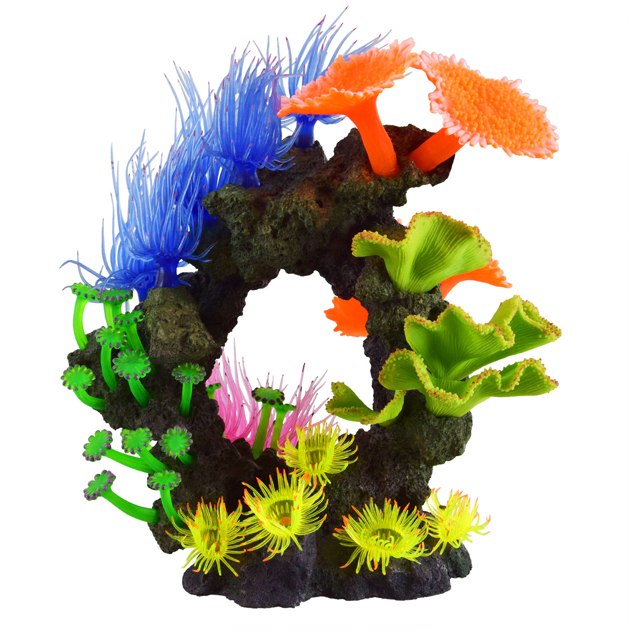 Underwater Treasures Roatan Reef