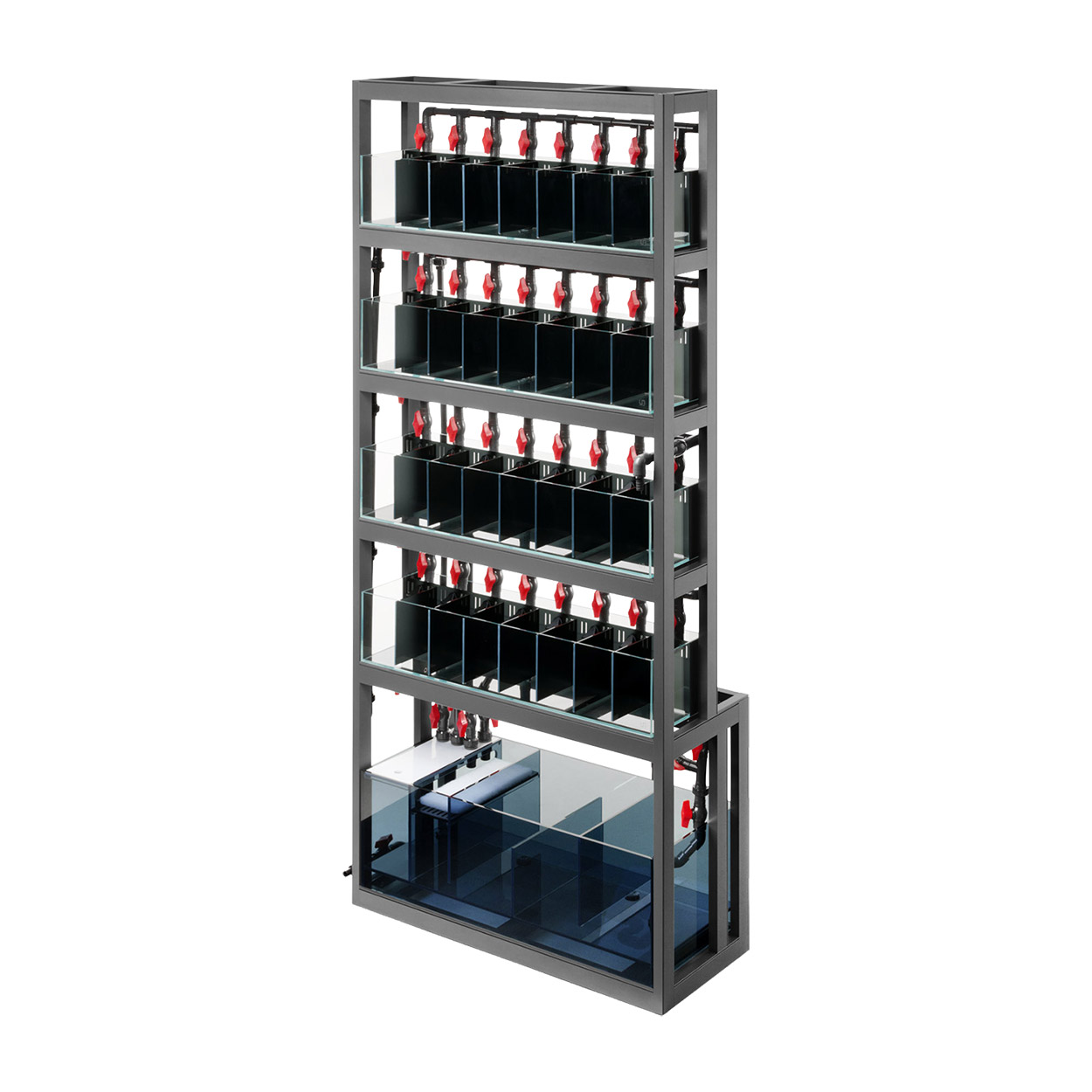 UNS Betta Holding System