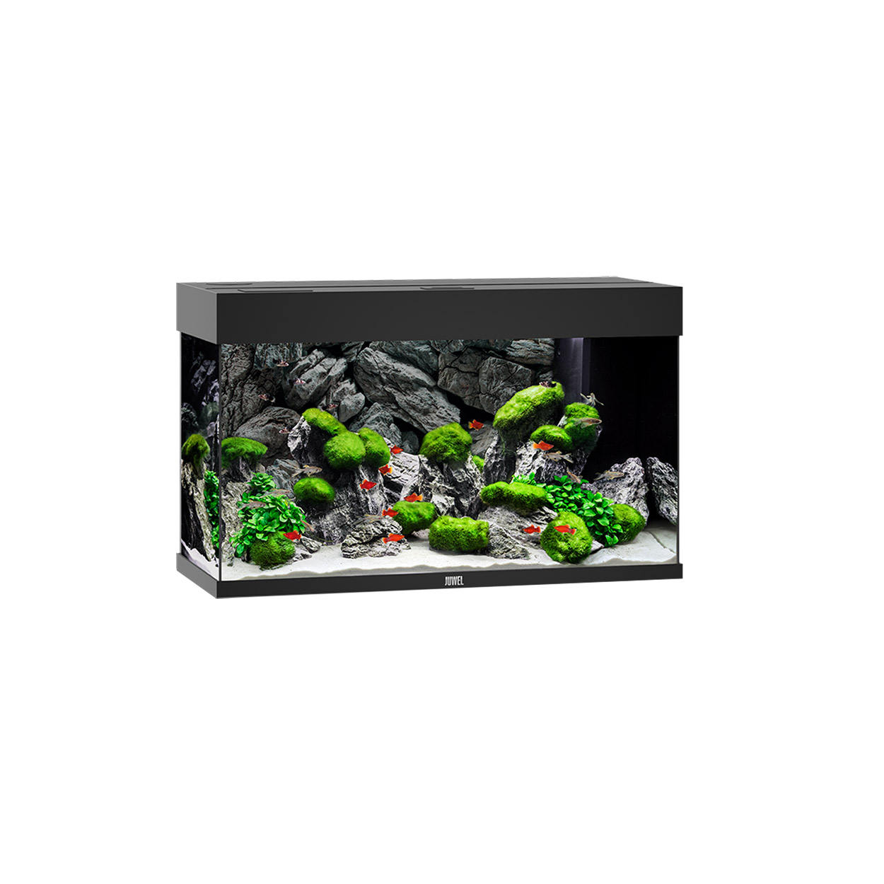 Juwel Aquariums Rio 125 Aquarium System - Black