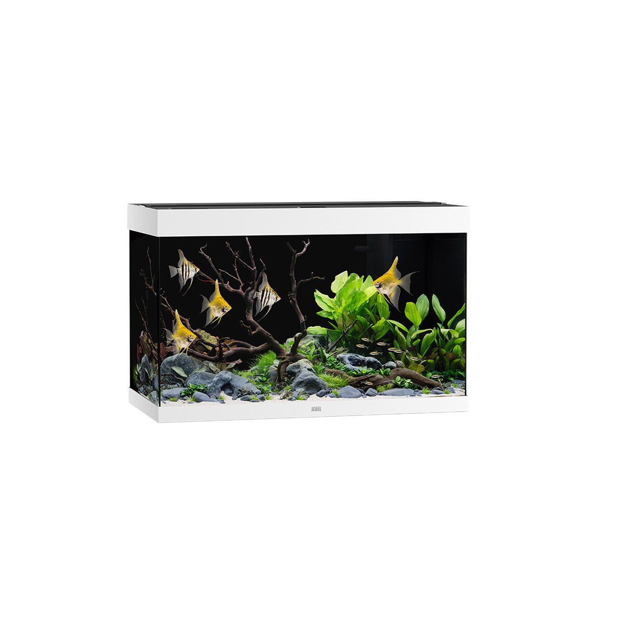 Juwel Aquariums Rio 290 Aquarium System - White
