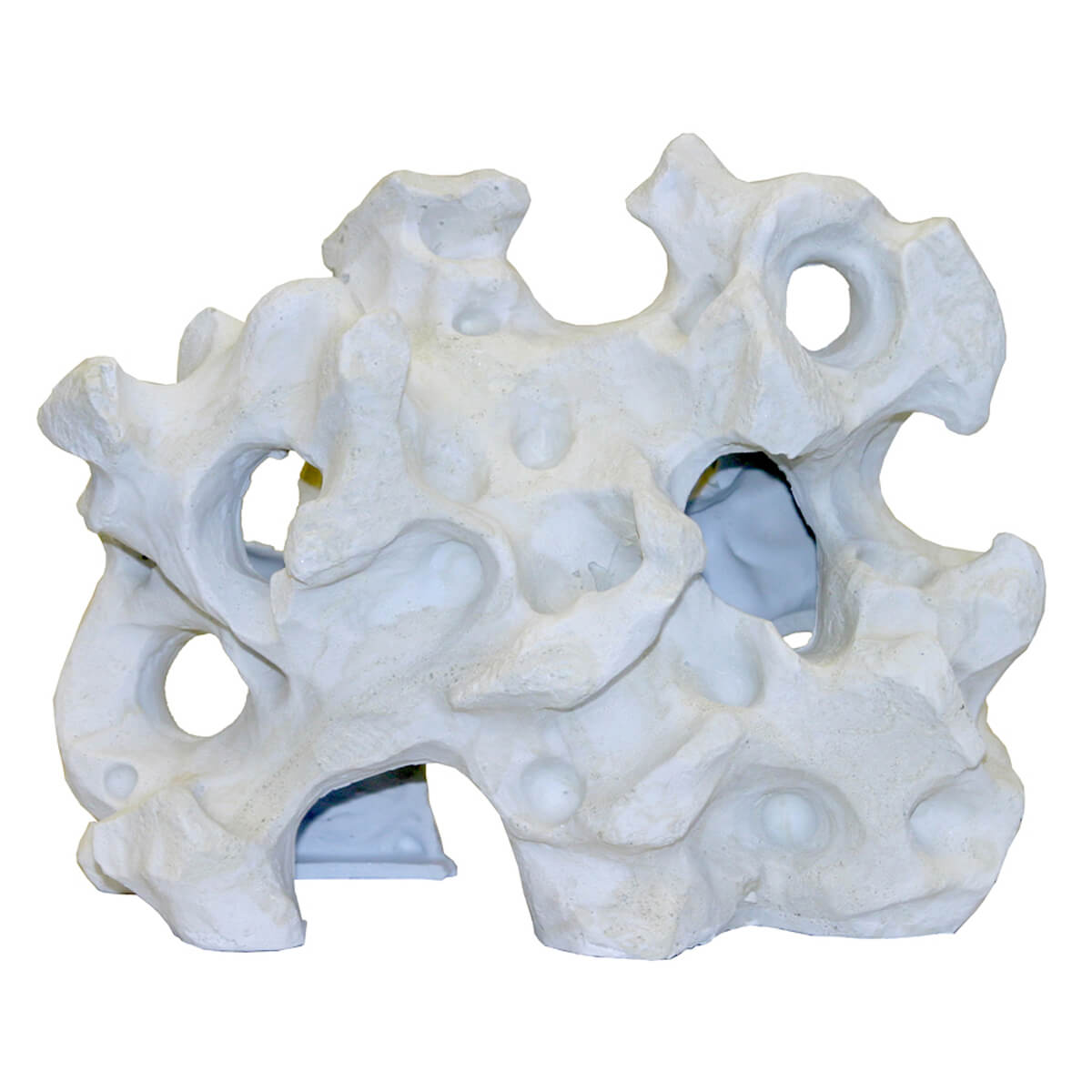 Texas Holey Rock
