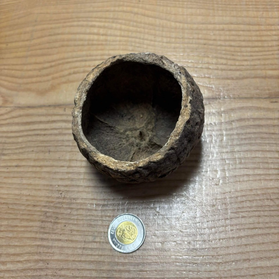 Botaniques - Ourico Mayan Nut Pods